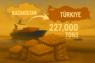 TÜRKIYE’NIN MERCIMEK İTHALATINDA KAZAKISTAN RÜZGARI: DOKUZ AYDA 227 BIN TON İHRACAT
